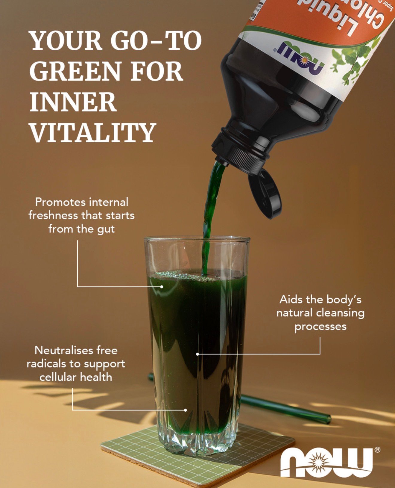 NOW Liquid Chlorophyll 100 mg 473ml - الصورة 11